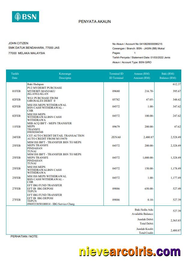 Malaysia BSN bank statement